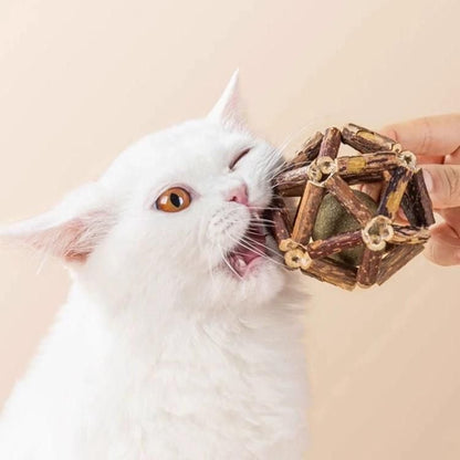 Cat chew toy featuring silvervine sticks and a jingle bell, designed as a natural aromas cage ball to promote dental health and engage playful felines. 1