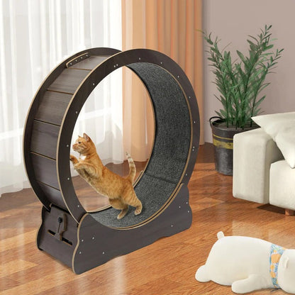 Cat Exercise Wheel for Indoor Fitness – Silent Spinning Design with Non-Slip Surface for Active Cats 0