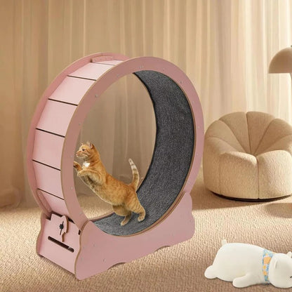 Cat Exercise Wheel for Indoor Fitness – Silent Spinning Design with Non-Slip Surface for Active Cats 1