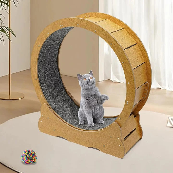 Cat Exercise Wheel for Indoor Fitness – Silent Spinning Design with Non-Slip Surface for Active Cats 2