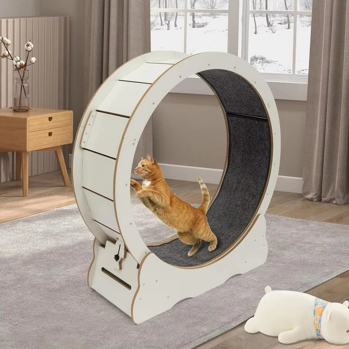 Cat Exercise Wheel for Indoor Fitness – Silent Spinning Design with Non-Slip Surface for Active Cats 3