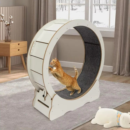 Cat Exercise Wheel for Indoor Fitness – Silent Spinning Design with Non-Slip Surface for Active Cats 3