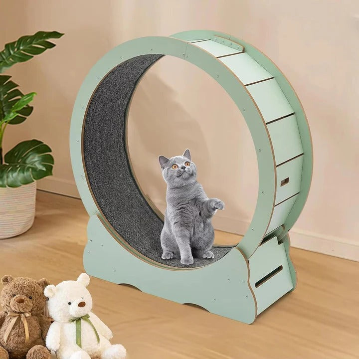 Cat Exercise Wheel for Indoor Fitness – Silent Spinning Design with Non-Slip Surface for Active Cats 4