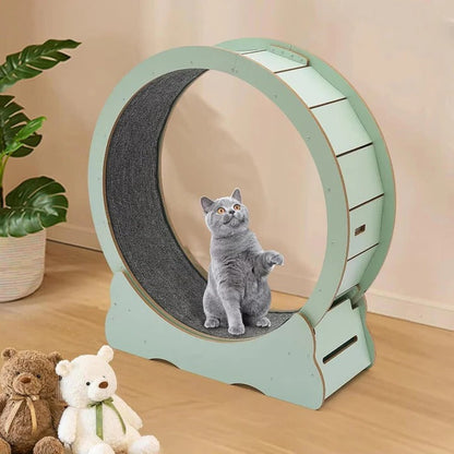 Cat Exercise Wheel for Indoor Fitness – Silent Spinning Design with Non-Slip Surface for Active Cats 4