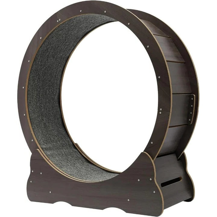 Cat Exercise Wheel for Indoor Fitness – Silent Spinning Design with Non-Slip Surface for Active Cats 6