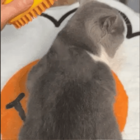 Cat Grooming Brush with Silicone Bristles and Steam Function for Shedding – Best Cat Brush for Healthy, Shiny Coat 5