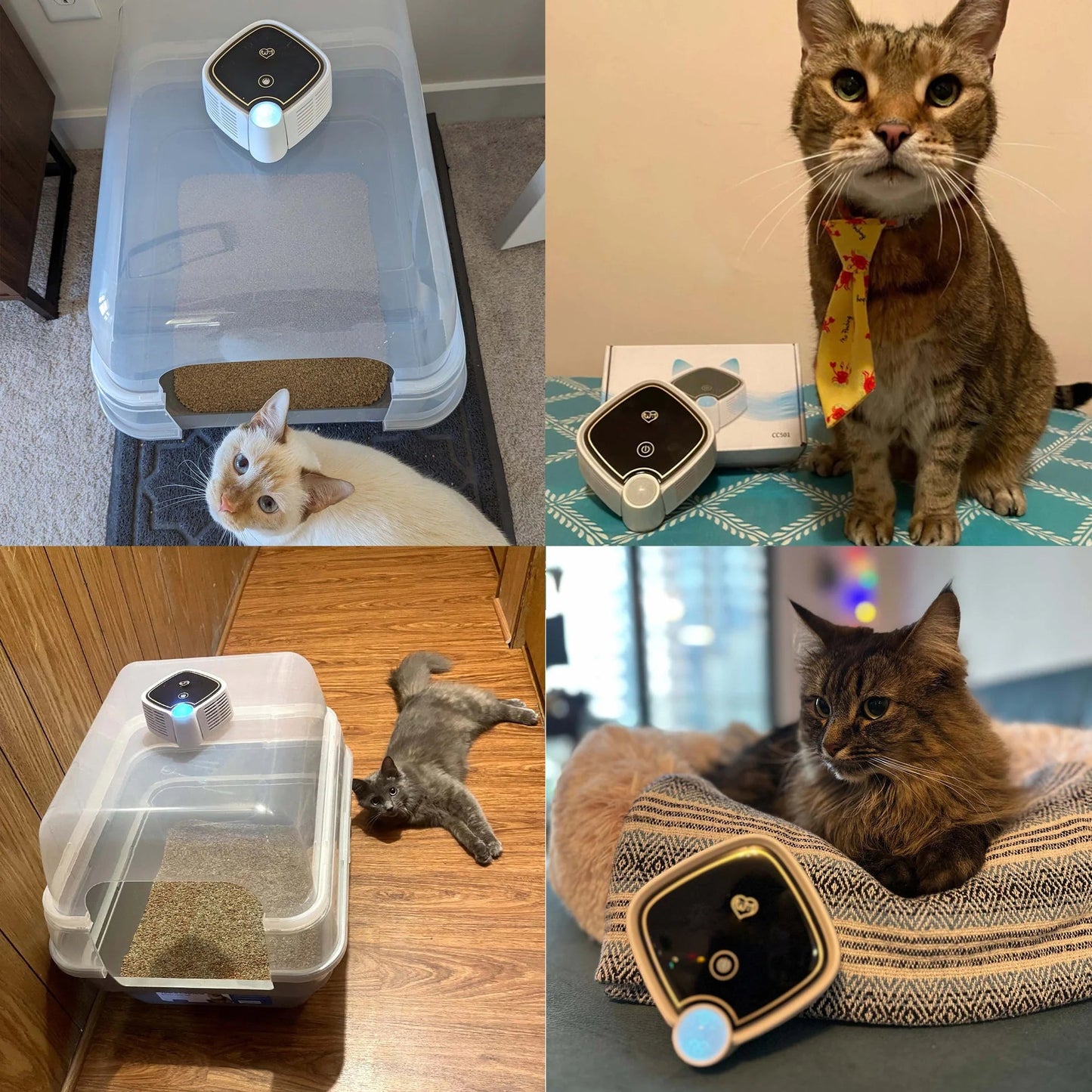 Cat litter deodorizer featuring automatic odor control and advanced cyclone technology for efficient elimination of cat odors. 1
