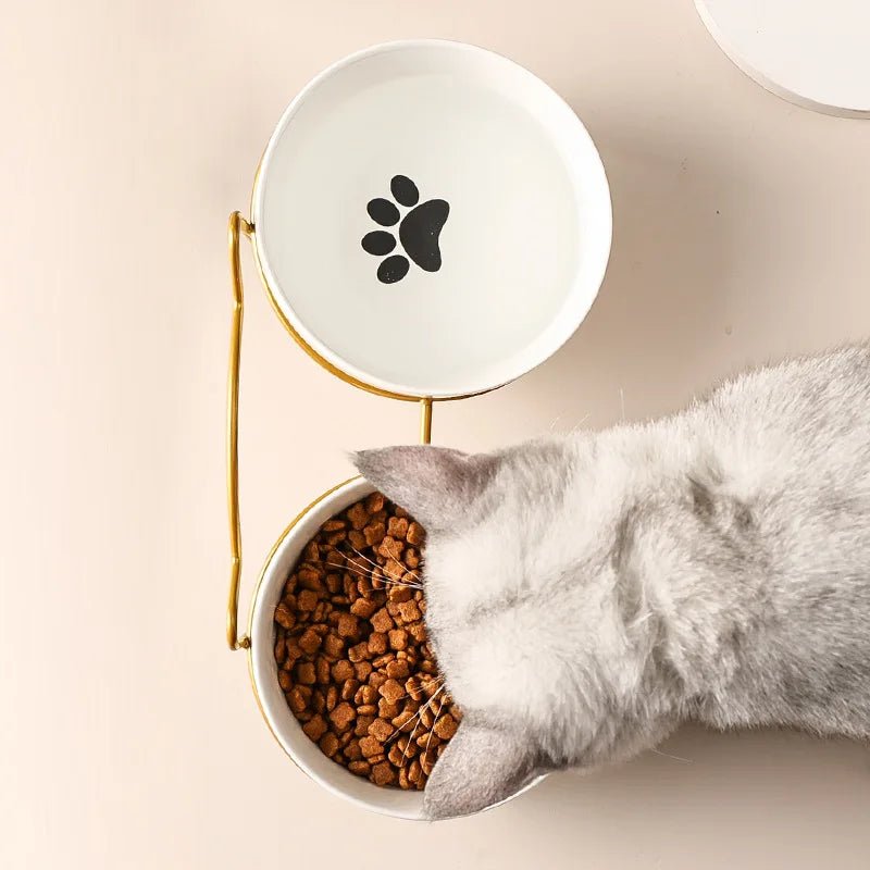 Ceramic Pet Bowl with Raised Stand – 500 ML for Cats and Small Dogs 3