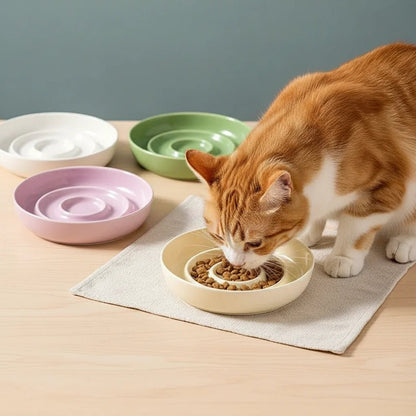 Ceramic Slow Feeder Bowl for Cats and Dogs – Durable Anti-Gobble Design 3