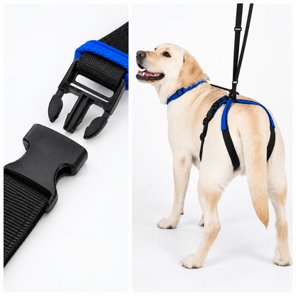 Adjustable Dog Harness for Rear Lift Support – Breathable Mesh Design for Easy Mobility and Vehicle Entry