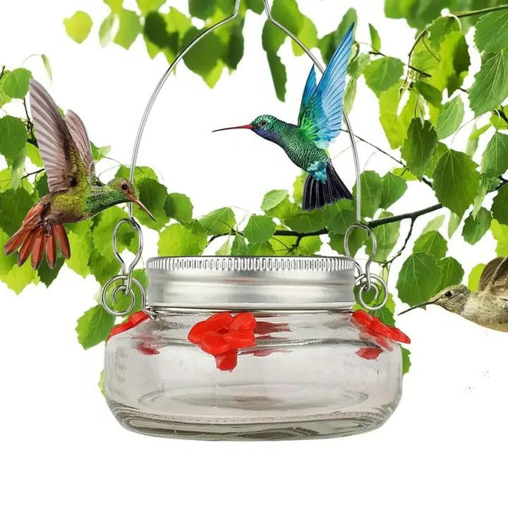 Clear Hummingbird Feeder with Flower Ports – Durable Hanging Design for Easy Refills and Monitoring Nectar Levels 0