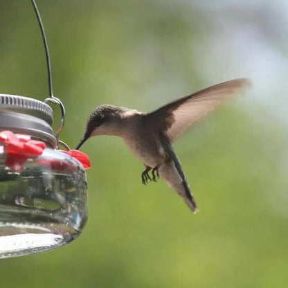 Clear Hummingbird Feeder with Flower Ports – Durable Hanging Design for Easy Refills and Monitoring Nectar Levels 1