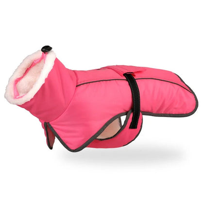 Cold-Resistant Winter Coat for Large Dogs with Reflective Details – Perfect for French Bulldogs 7