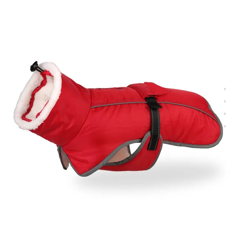 Cold-Resistant Winter Coat for Large Dogs with Reflective Details – Perfect for French Bulldogs 8