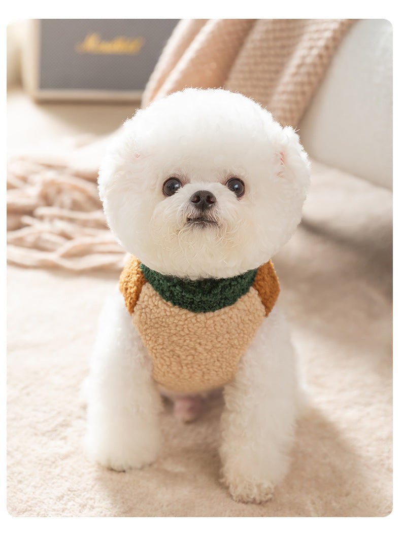 Color Block Dog Vest in Wool Blend – Stylish and Warm Pet Apparel with Zipper Closure and D-Ring for Leash Attachment 4