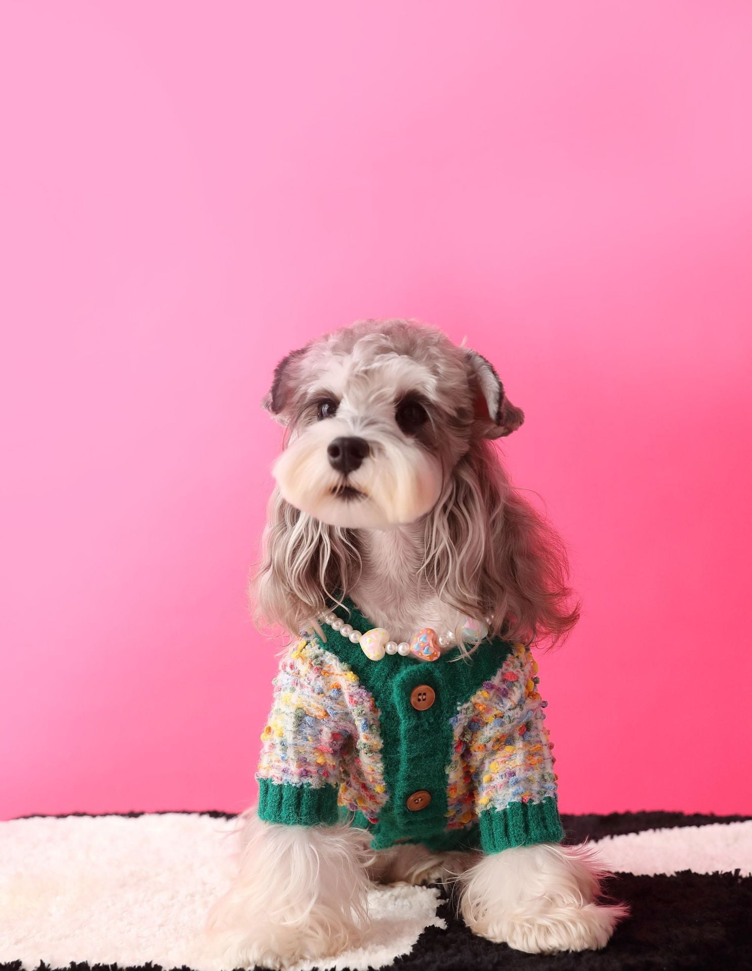 Colorful Dotted Dog Cardigan for Small to Medium Breeds – Cozy and Stylish Pet Wear, Machine Washable 3