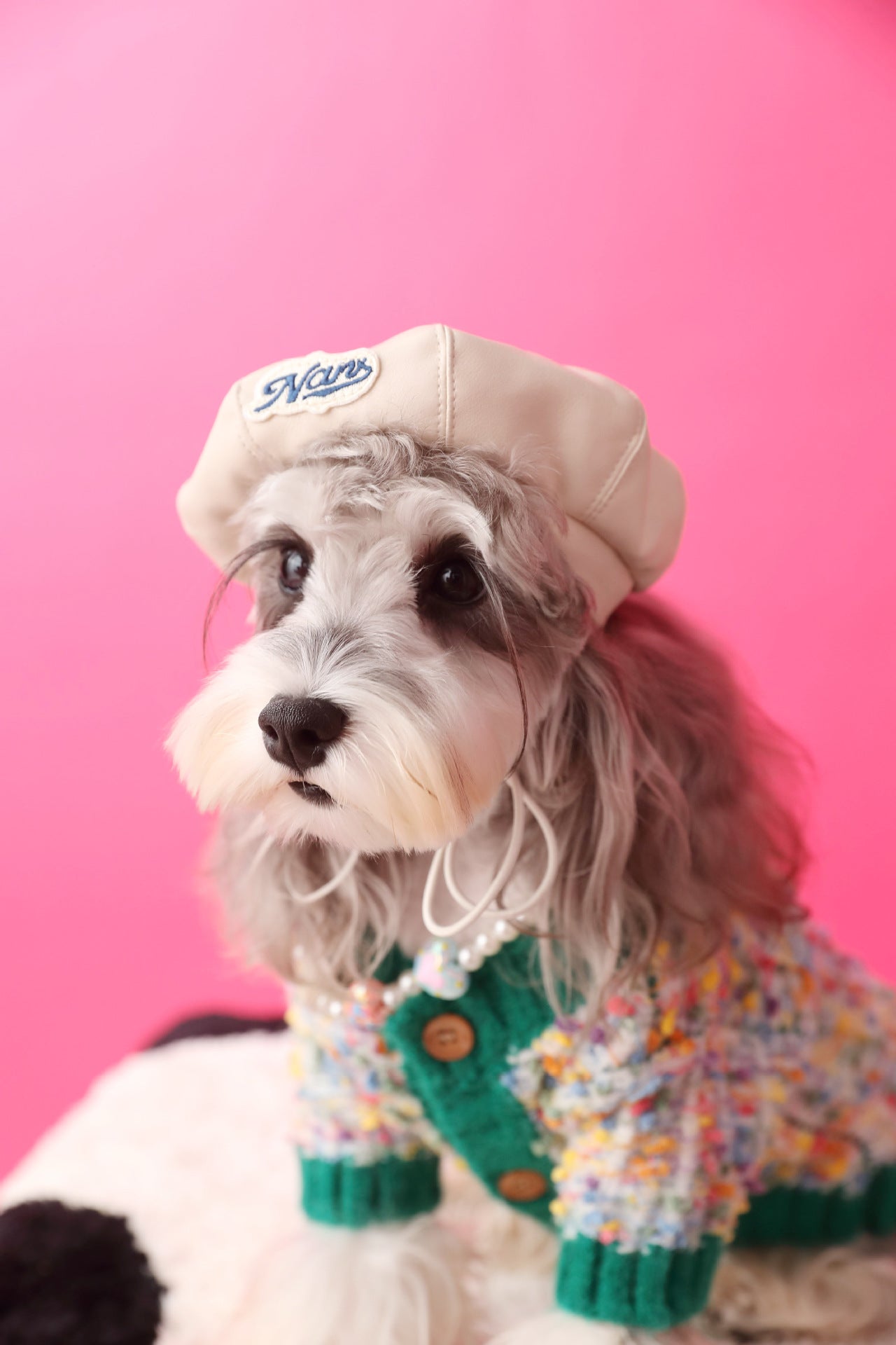 Colorful Dotted Dog Cardigan for Small to Medium Breeds – Cozy and Stylish Pet Wear, Machine Washable 4