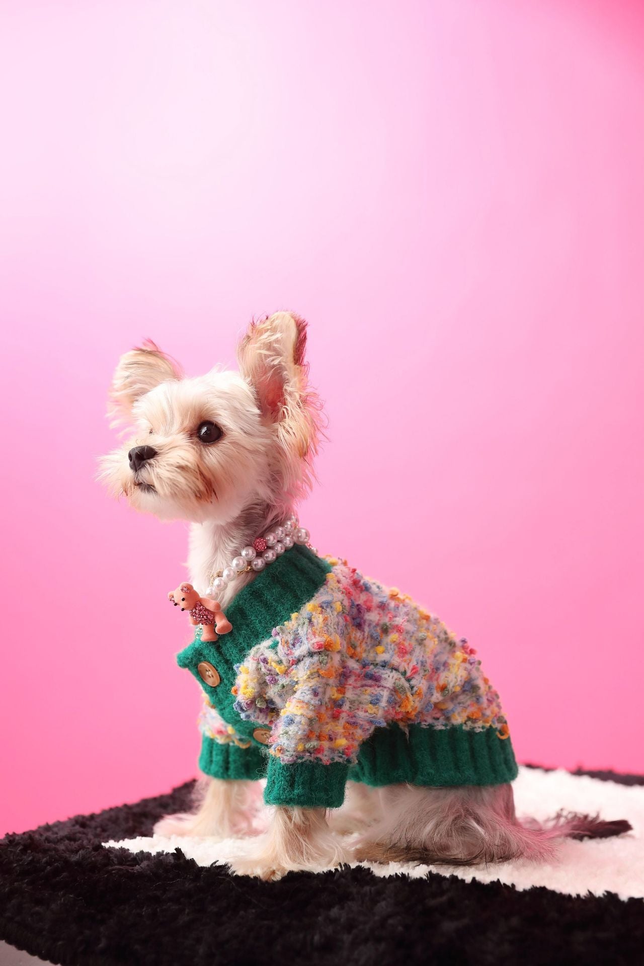 Colorful Dotted Dog Cardigan for Small to Medium Breeds – Cozy and Stylish Pet Wear, Machine Washable 7
