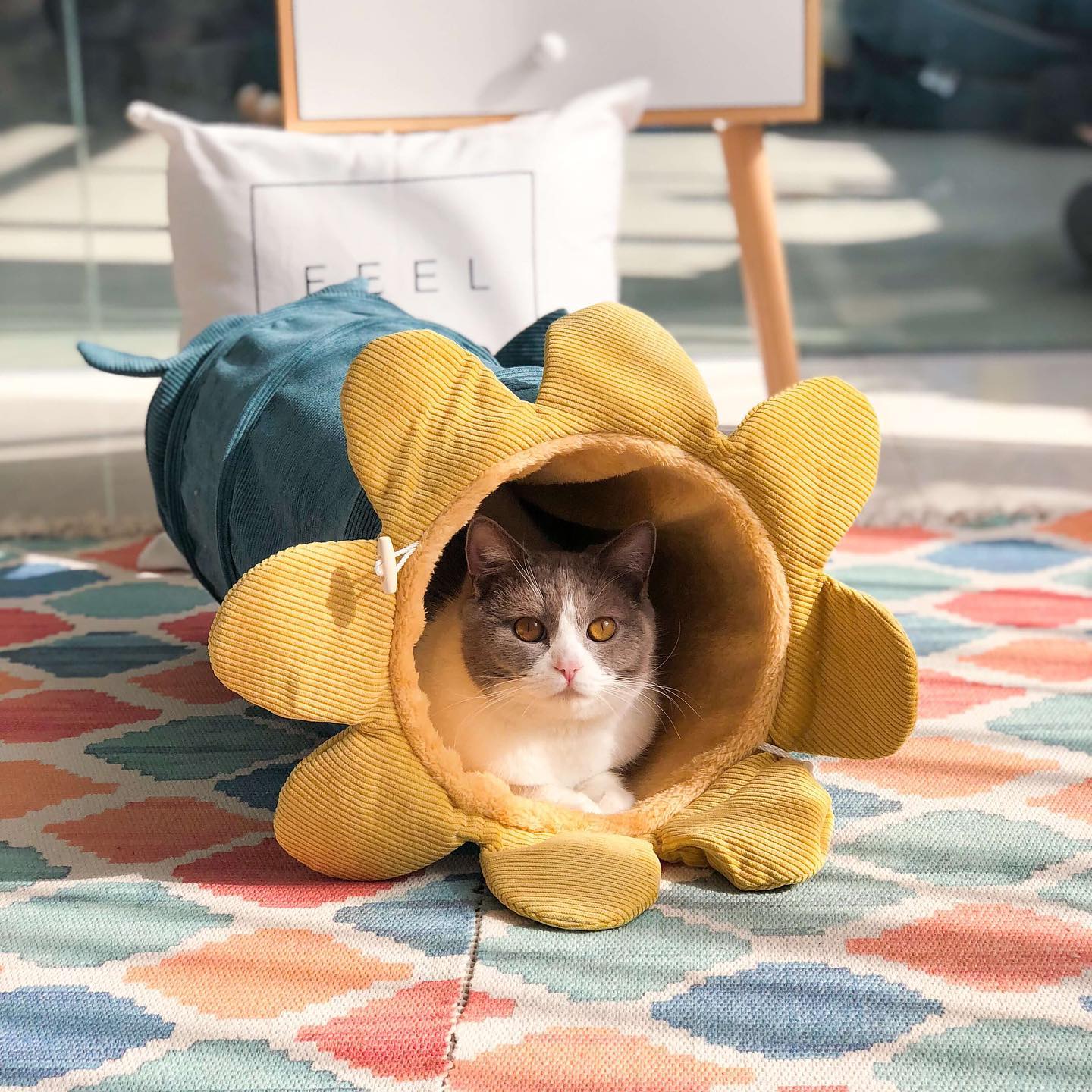 Colorful Flower Cat Tunnel Toy – Soft, Durable Fabric Play Tunnel for Cats, Fun Hideaway and Relaxation Spot 2