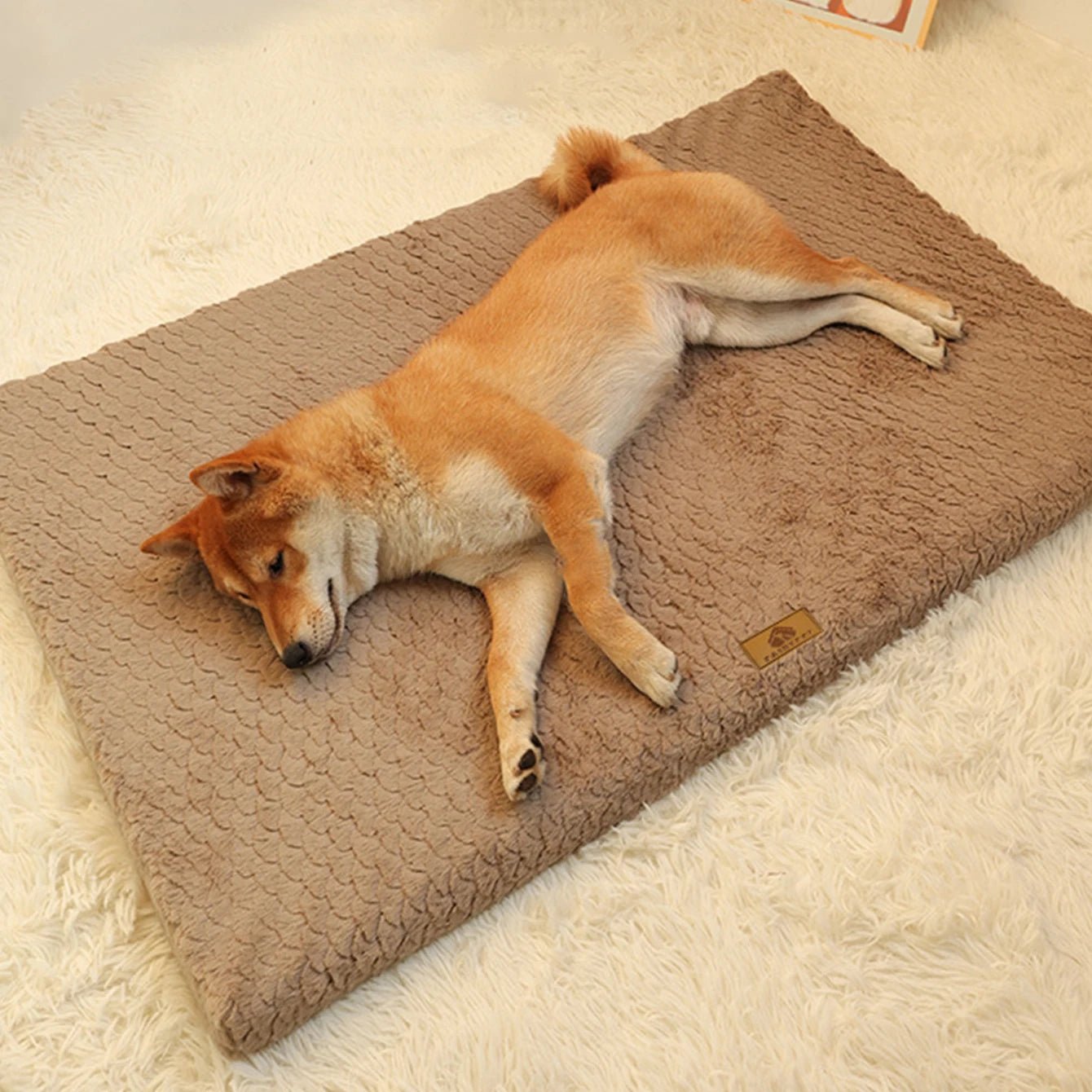 Comfortable Pet Sleeping Mat for All Dog Breeds – Durable and Washable Design 3
