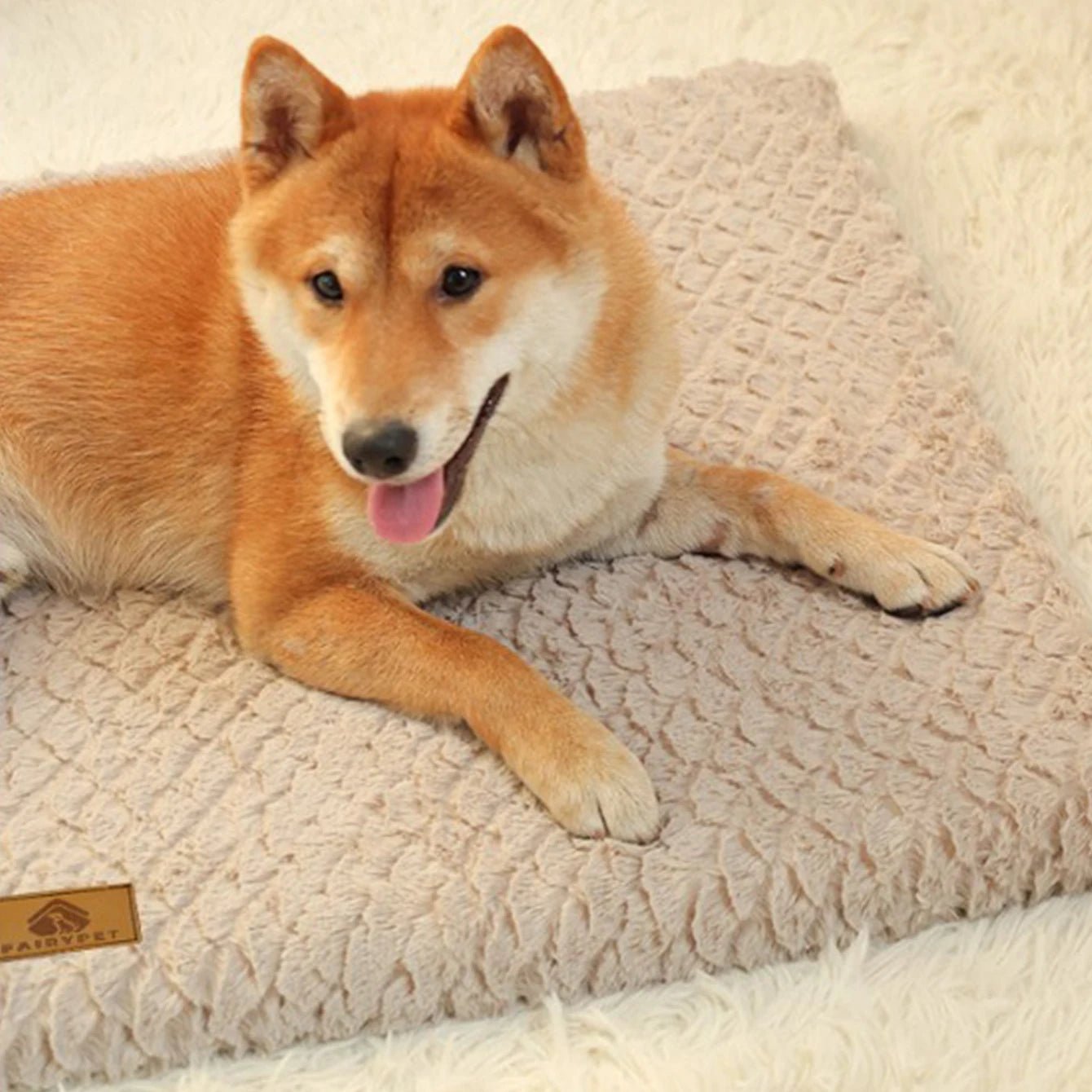 Comfortable Pet Sleeping Mat for All Dog Breeds – Durable and Washable Design 5