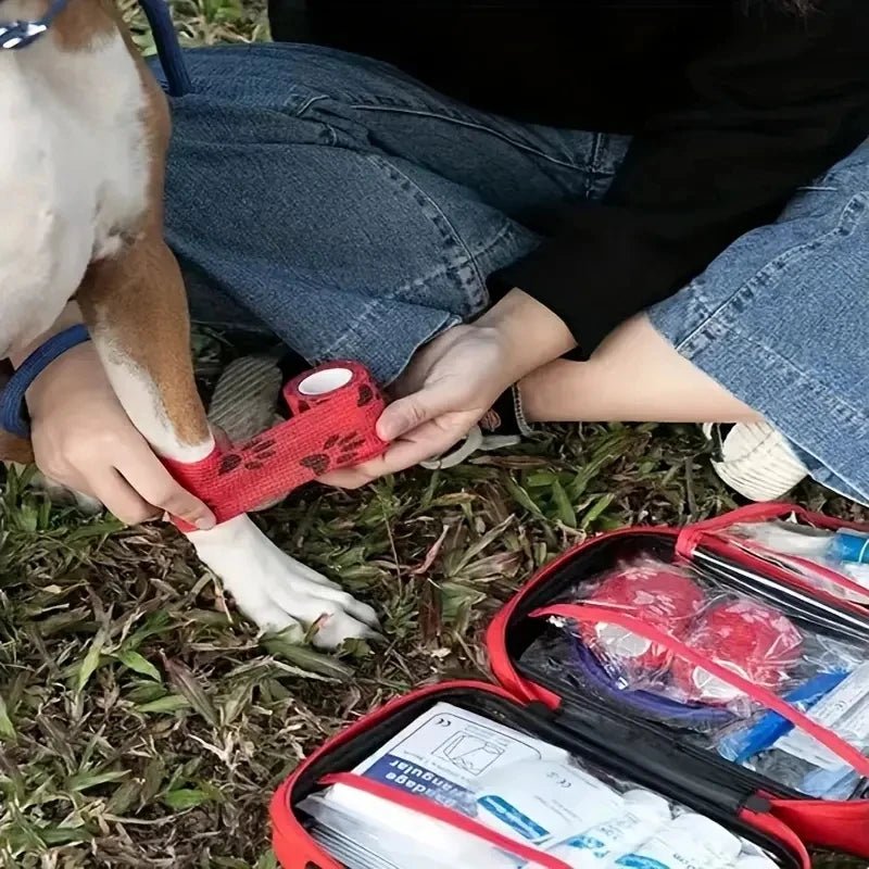 Compact First Aid Kit for Dogs and Cats – Essential Pet Care Supplies 2
