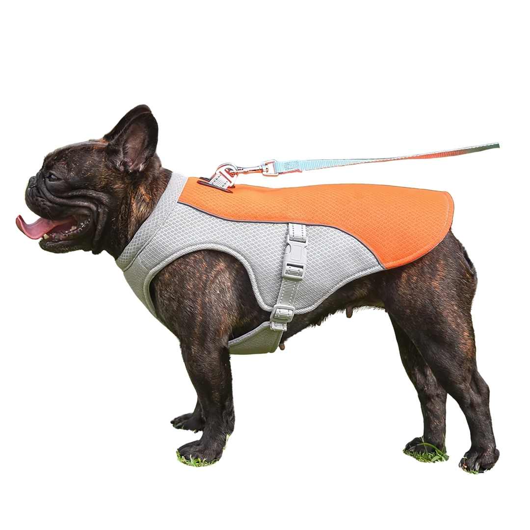 CoolPaw | Heat Protection for Dogs in Summer 0