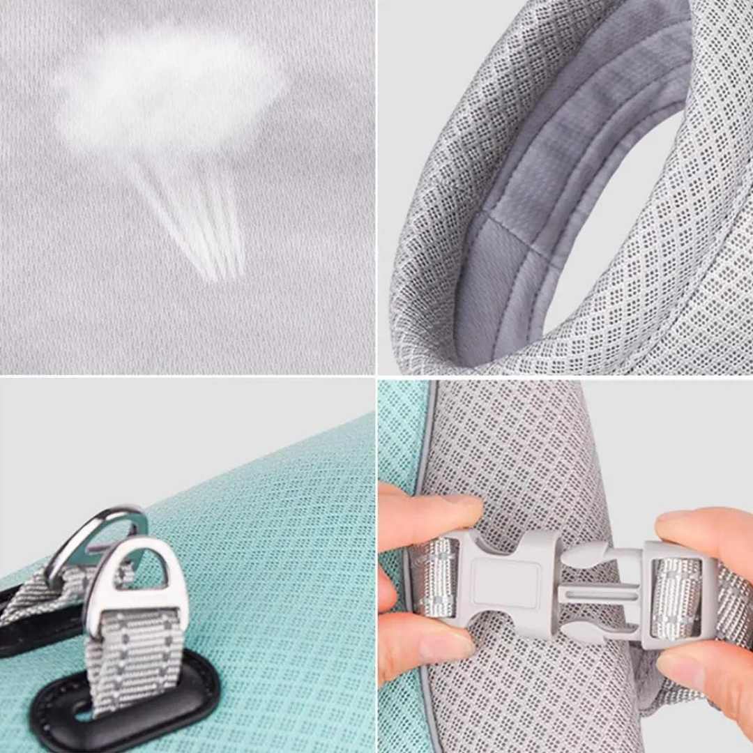 CoolPaw | Heat Protection for Dogs in Summer 5