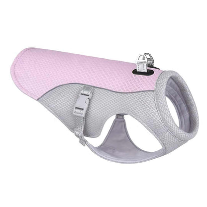 CoolPaw | Heat Protection for Dogs in Summer 8