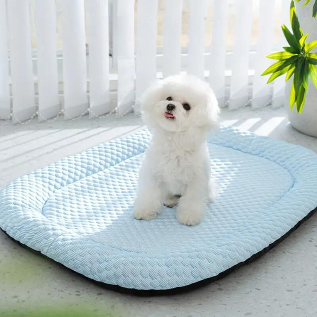 Cooling Dog Bed with Memory Foam Support – Breathable Ice Silk for Small and Medium Dogs 2