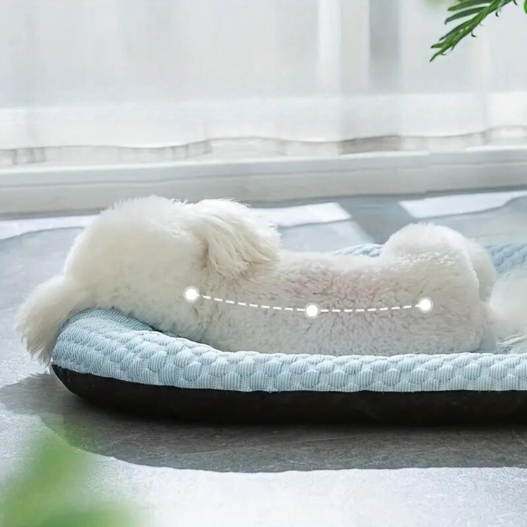 Cooling Dog Bed with Memory Foam Support – Breathable Ice Silk for Small and Medium Dogs 7