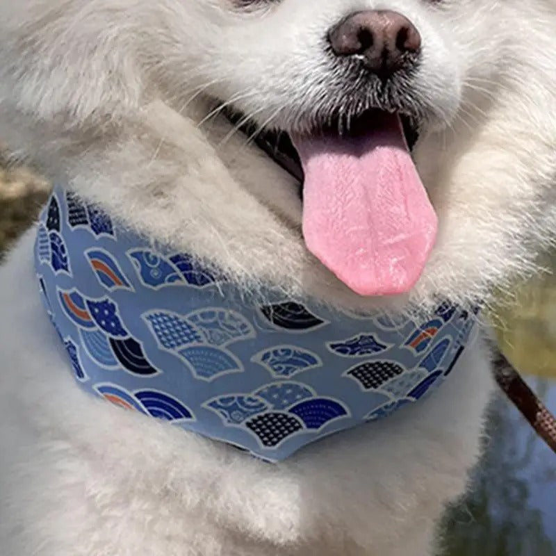 Cooling Dog Collar, Adjustable Soft Design with Water Activation for All Sizes – Ideal for Outdoor Activities, Blue 0