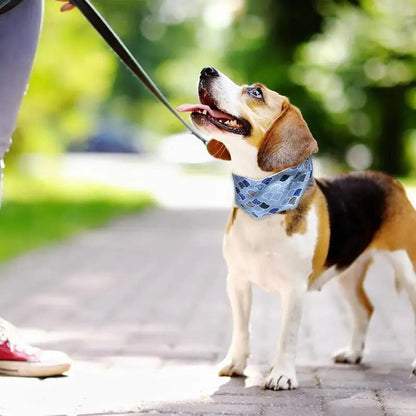 Cooling Dog Collar, Adjustable Soft Design with Water Activation for All Sizes – Ideal for Outdoor Activities, Blue 3