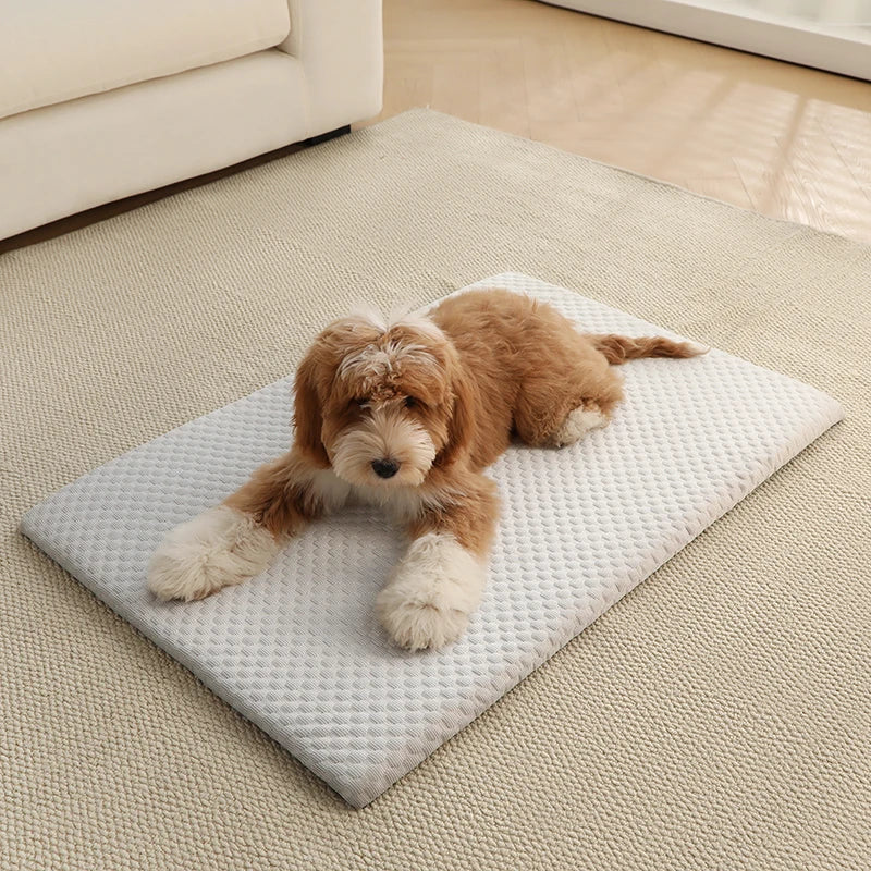 Cooling dog mat featuring an ice silk surface and non-slip backing, designed for home and car use, machine washable, and available in various sizes and colors 2