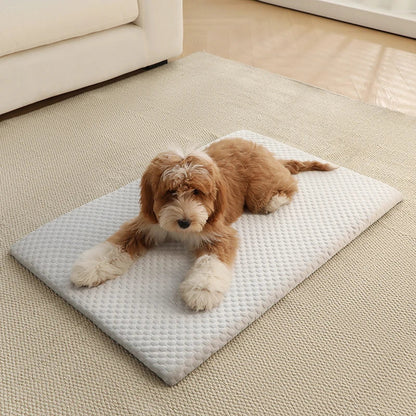 Cooling dog mat featuring an ice silk surface and non-slip backing, designed for home and car use, machine washable, and available in various sizes and colors 2