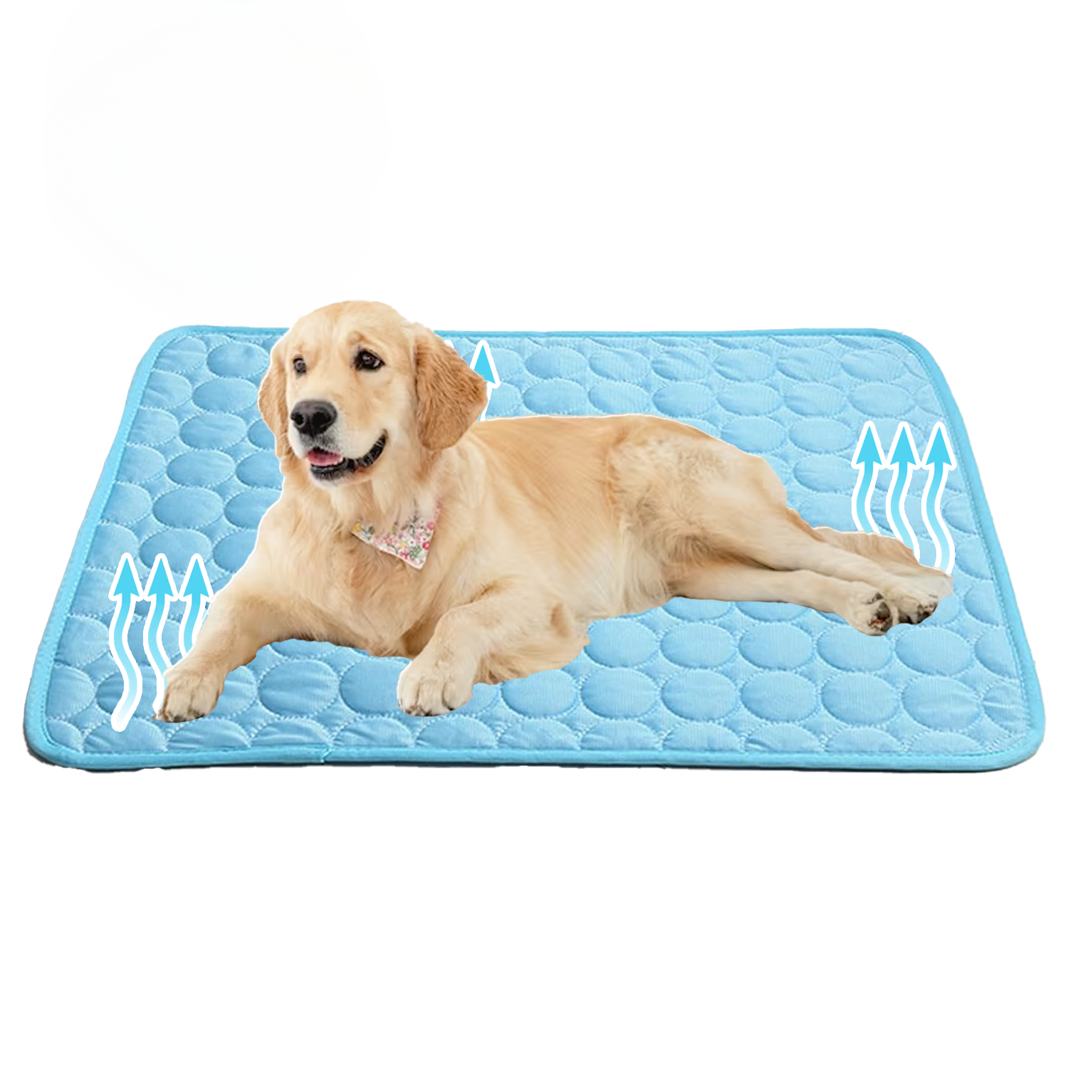 Cooling Dog Mat with Pressure-Activated Gel – Lightweight Portable Pet Cooling Bed for Hot Days 1