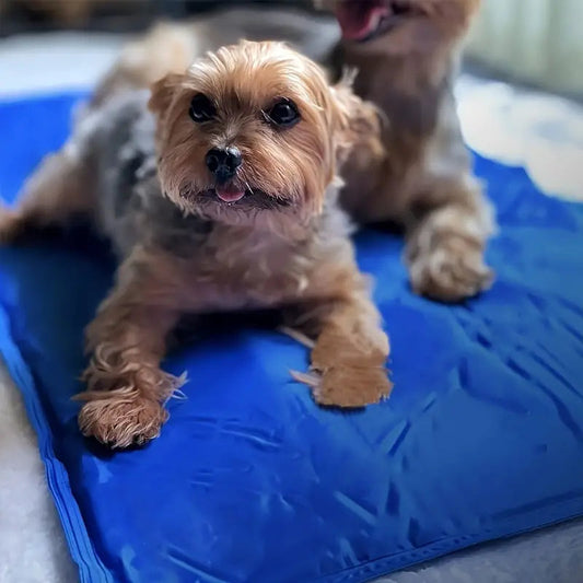 Cooling Dog Mat with Pressure Activated Gel – Non-Toxic, Durable, Portable, Available in Sizes S-XL 0