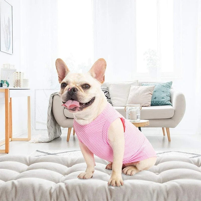 Cooling Dog Shirt for Temperature Regulation – Lightweight Breathable Fabric in Blue, Green, Pink – Sizes XS, S, M 2
