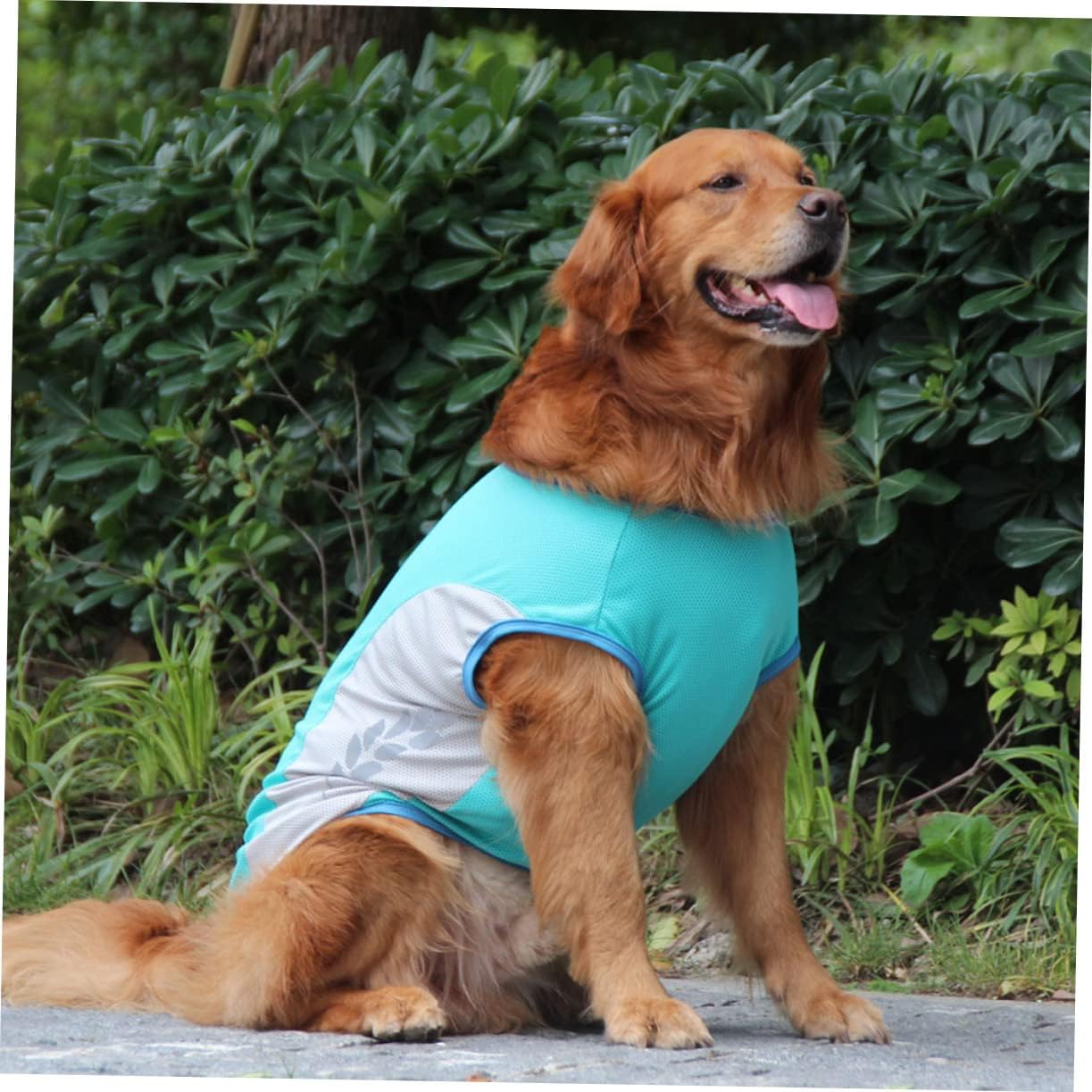 Cooling Dog Vest with Reflective Stripes, Lightweight Quick-Dry Fabric, Sizes M to 11XL, for Summer Comfort 1