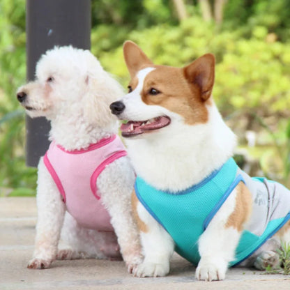 Cooling Dog Vest with Reflective Stripes, Lightweight Quick-Dry Fabric, Sizes M to 11XL, for Summer Comfort 3