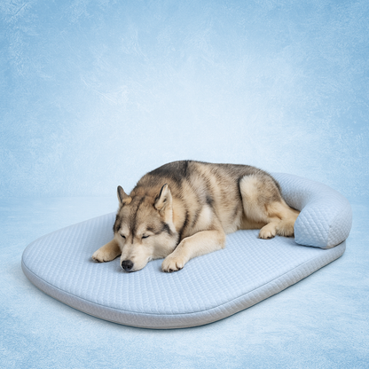 Cooling Ice Silk Dog Bed with 3D Sponge Cushion and Matching Pillow – Perfect for Summer Relaxation 0