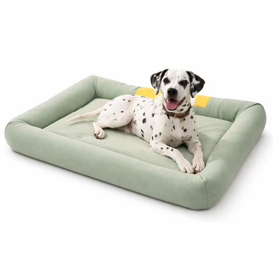 Cooling pet bed with raised edges, designed for dogs and cats, featuring a breathable plush material for ultimate summer comfort. 0