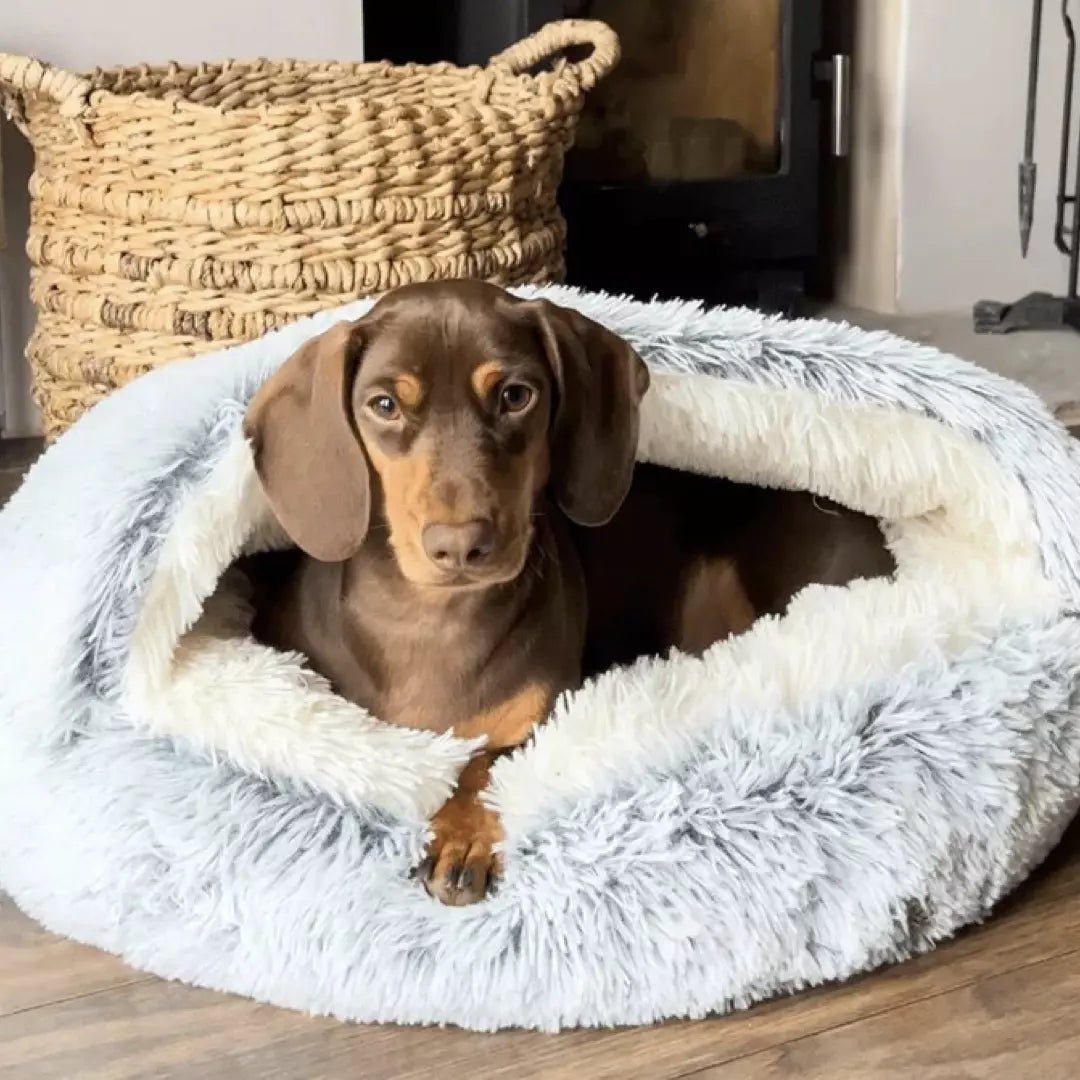 Cozy Faux Fur Pet Bed for Small Dogs – Self-Warming Half-Cave Design 3