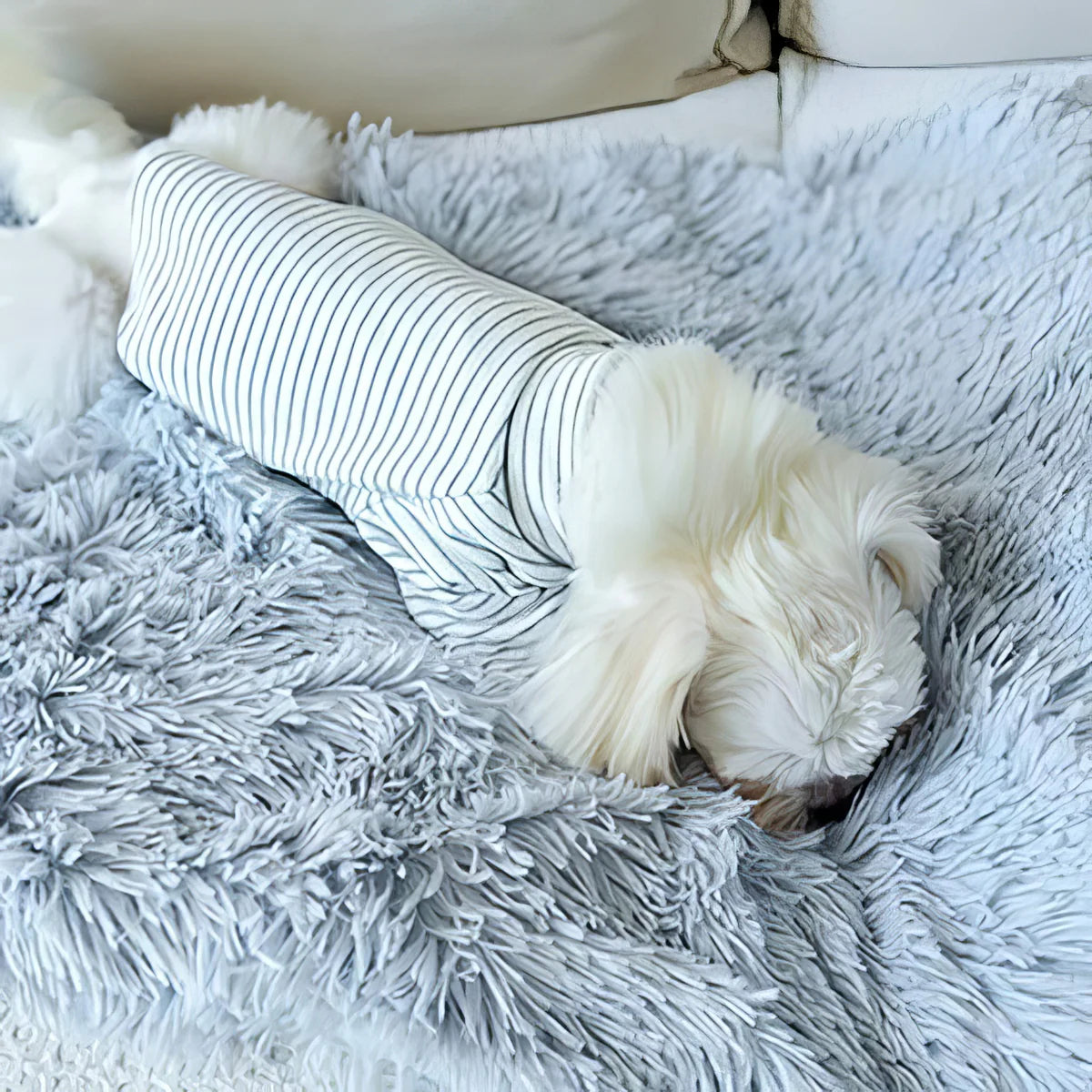 Cozy Fluffy Dog Blanket for Couch – Soft Fleece Pet Blanket, Machine Washable, 80x55cm 1