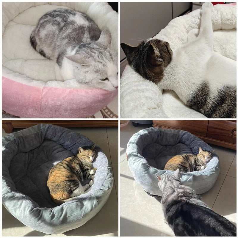 Cozy Plush Pet Bed for Cats and Small Dogs – Soft Coral Fleece with Non-Slip Base for Ultimate Comfort 3