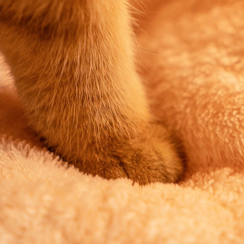 Cozy Removable Cat Bed with Washable Plush Interior – Enclosed Cat Cave for Winter Comfort 5