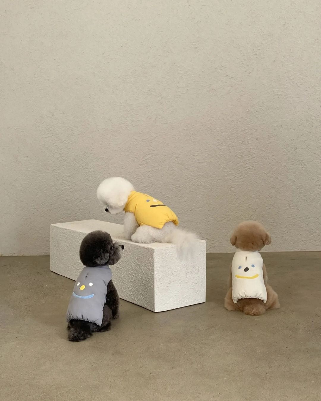 Cozy Thermal Cotton Dog Coat for Small to Medium Breeds – Lightweight, Adjustable Fit, Four Colors Available 5