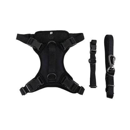 Daisy Adjustable Dog Harness for Small Breeds – Breathable, Comfortable, Stylish Design with Leash 0