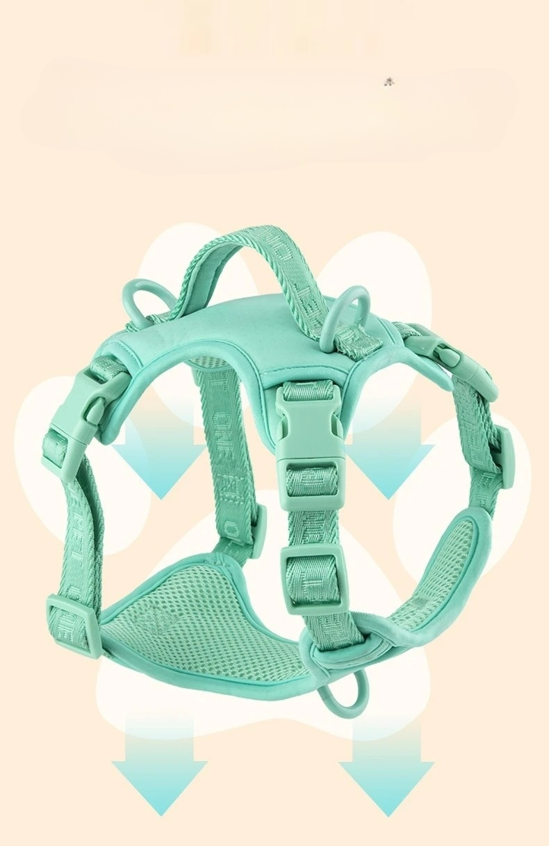 Daisy Adjustable Dog Harness for Small Breeds – Breathable, Comfortable, Stylish Design with Leash 1