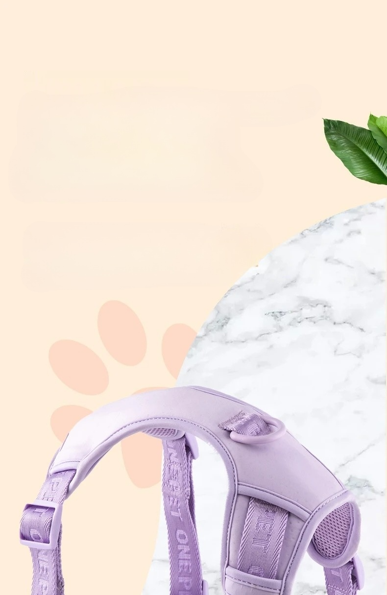 Daisy Adjustable Dog Harness for Small Breeds – Breathable, Comfortable, Stylish Design with Leash 2